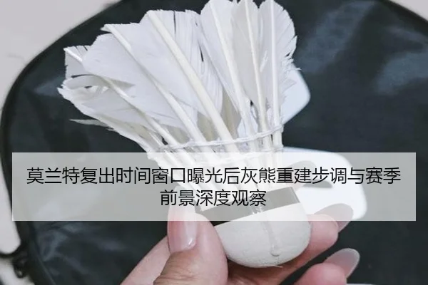 莫兰特复出时间窗口曝光后灰熊重建步调与赛季前景深度观察