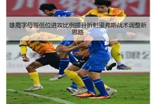 xiong-lu-zi-mu-ge-di-wei-jin-gong-bi-li-ti-sheng-zhe-she-li-fu-si-zhan-shu-tiao-zheng-xin-si-lu-2-606.jpg