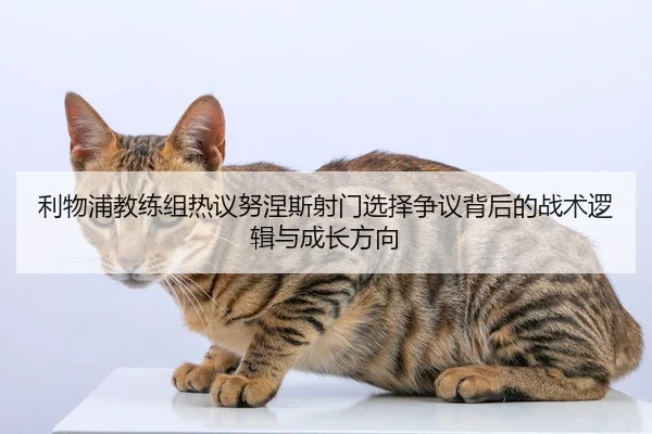 利物浦教练组热议努涅斯射门选择争议背后的战术逻辑与成长方向